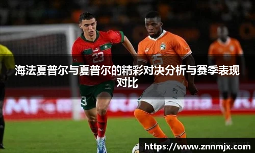 海法夏普尔与夏普尔的精彩对决分析与赛季表现对比